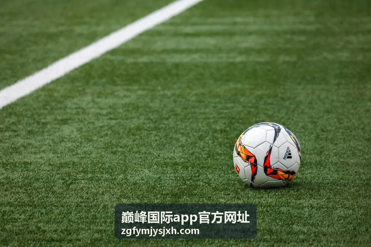 巅峰国际app官方网址资讯