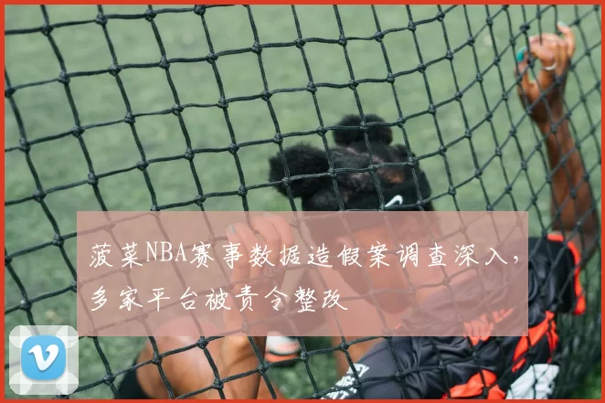 菠菜NBA赛事数据造假案调查深入,多家平台被责令整改
