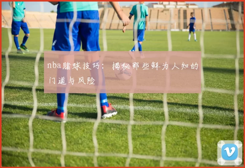 nba赌球技巧：揭秘那些鲜为人知的门道与风险