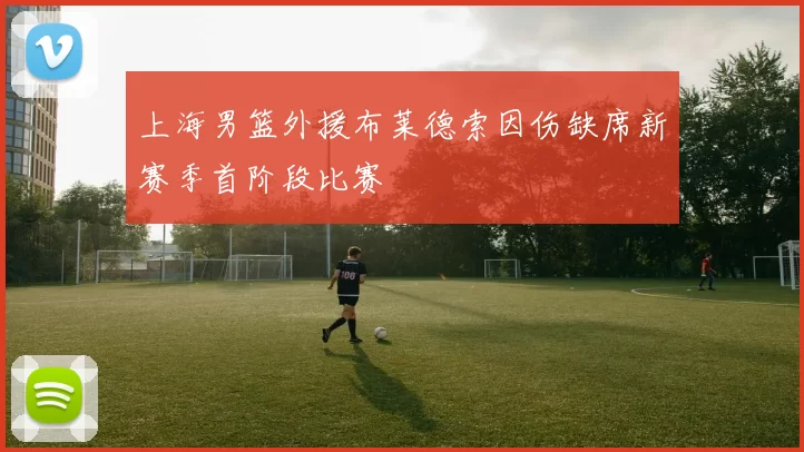 上海男篮外援布莱德索因伤缺席新赛季首阶段比赛