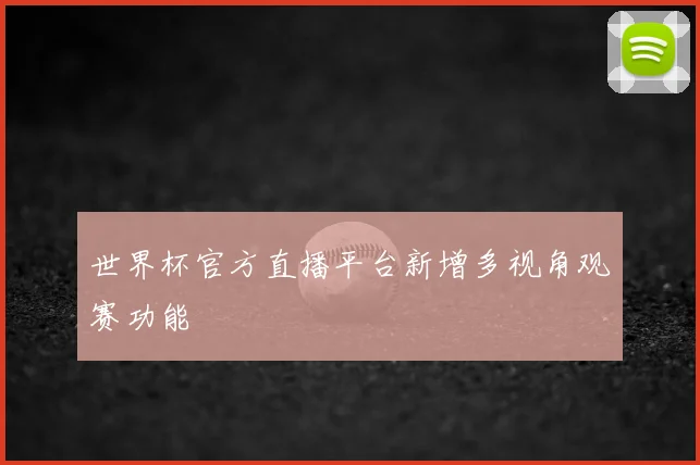 世界杯官方直播平台新增多视角观赛功能